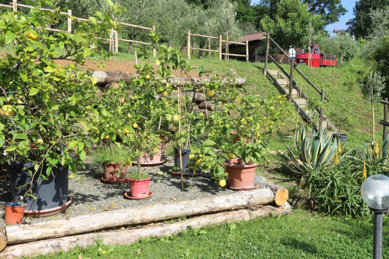 Appartamenti L'Olivo بانيوني المظهر الخارجي الصورة